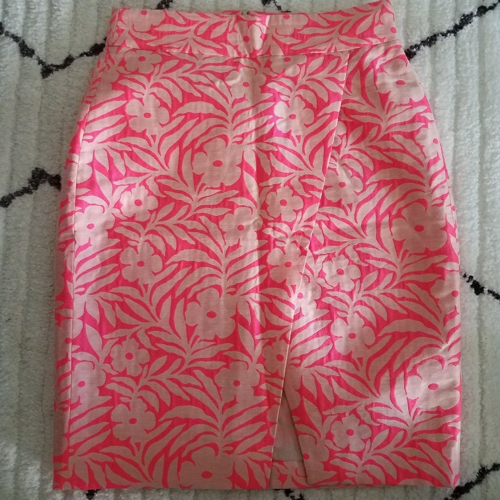 J Crew Skirt